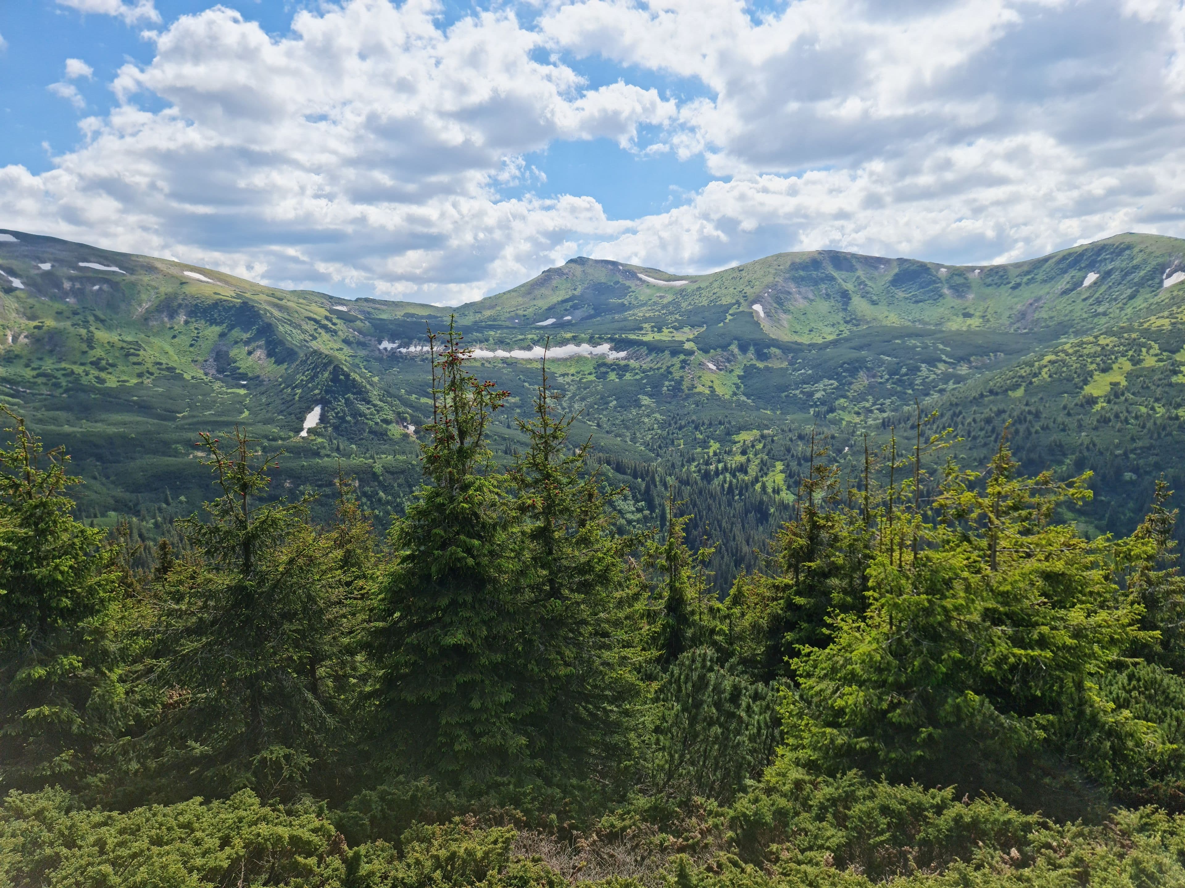 Через терни до зірок