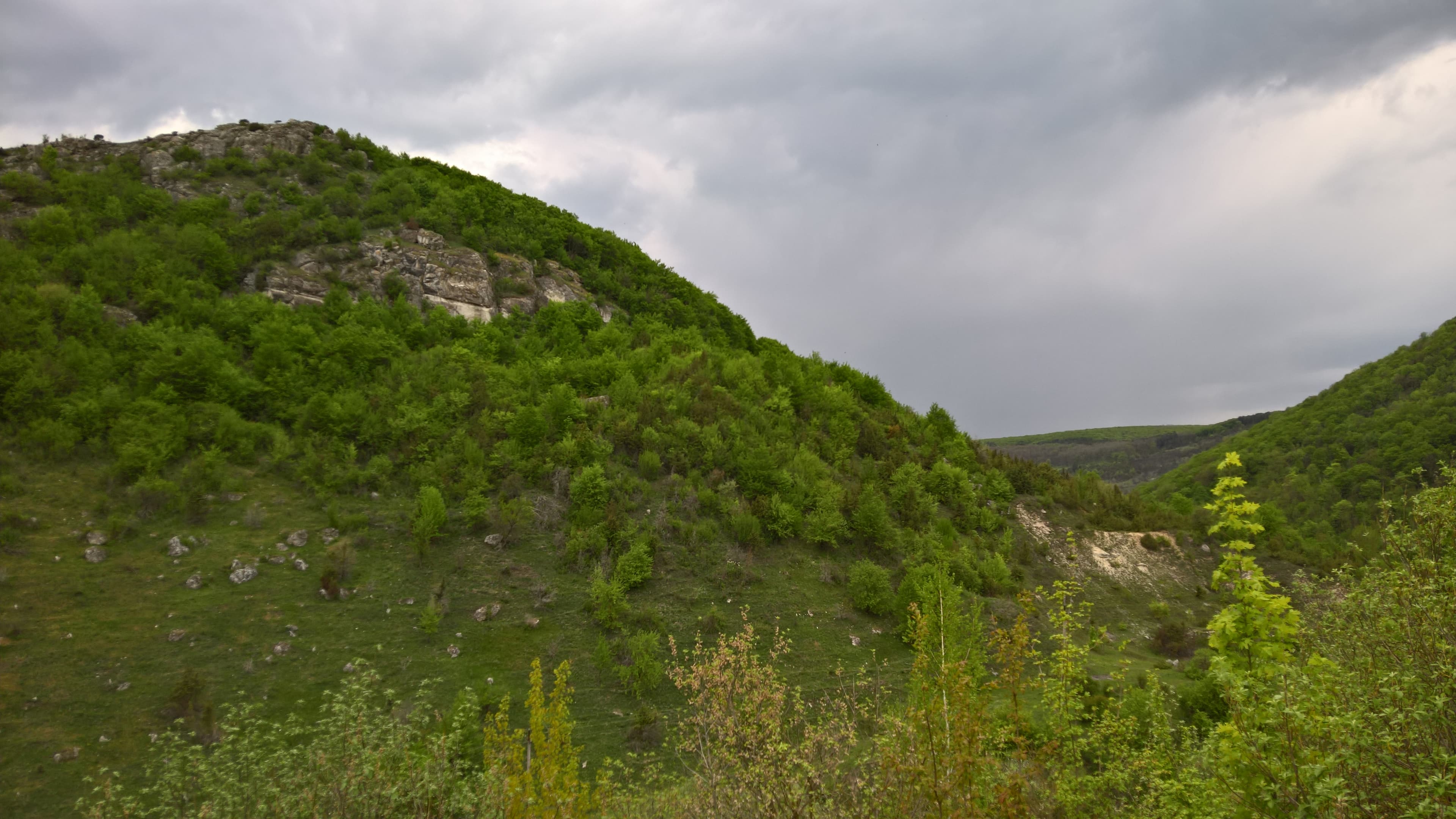 Кармелюкова Стежка